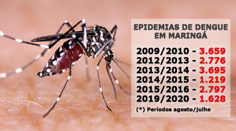 Maringá vive a sexta epidemia de dengue em 10 anos Angelo Rigon