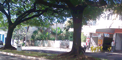 fogao