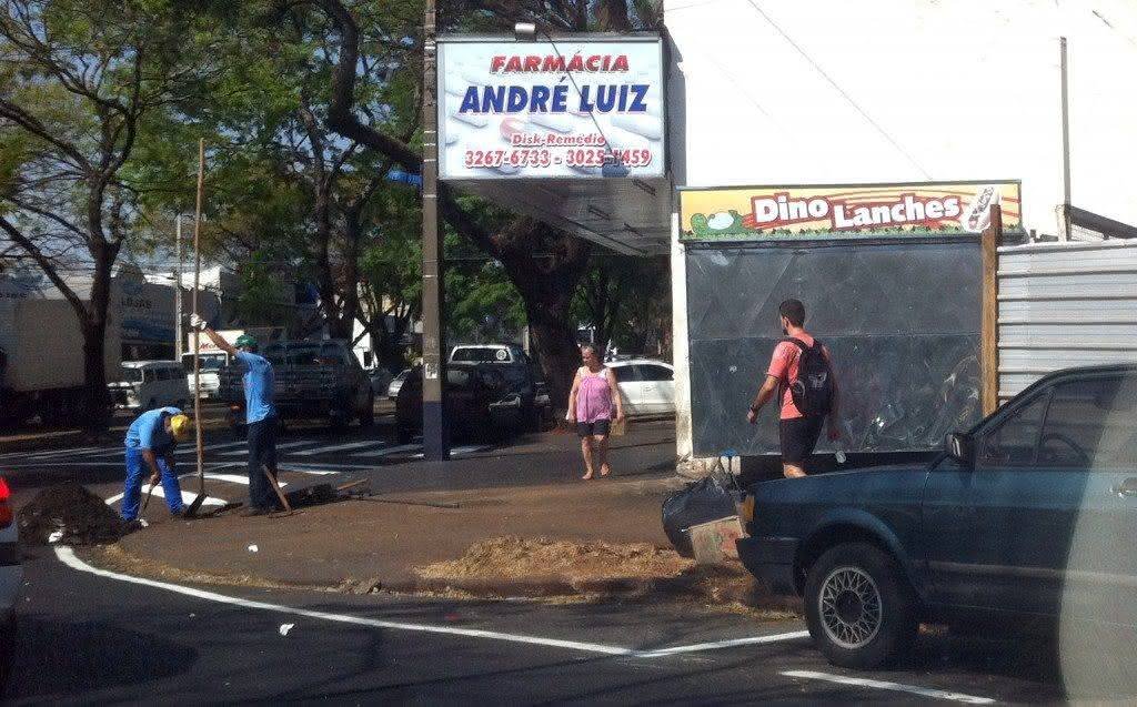 Corte de árvore Farroupilha