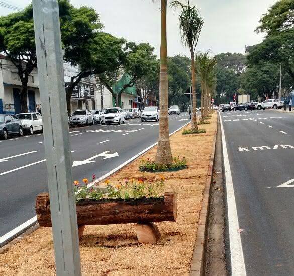 avenida